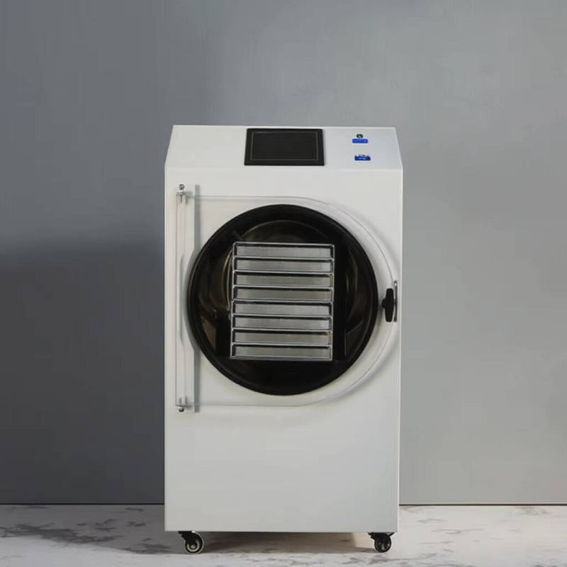 Automatic PLC-Controlled Dryin - Dried Fruit ulasan dan harga